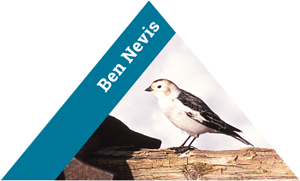 Ben Nevis